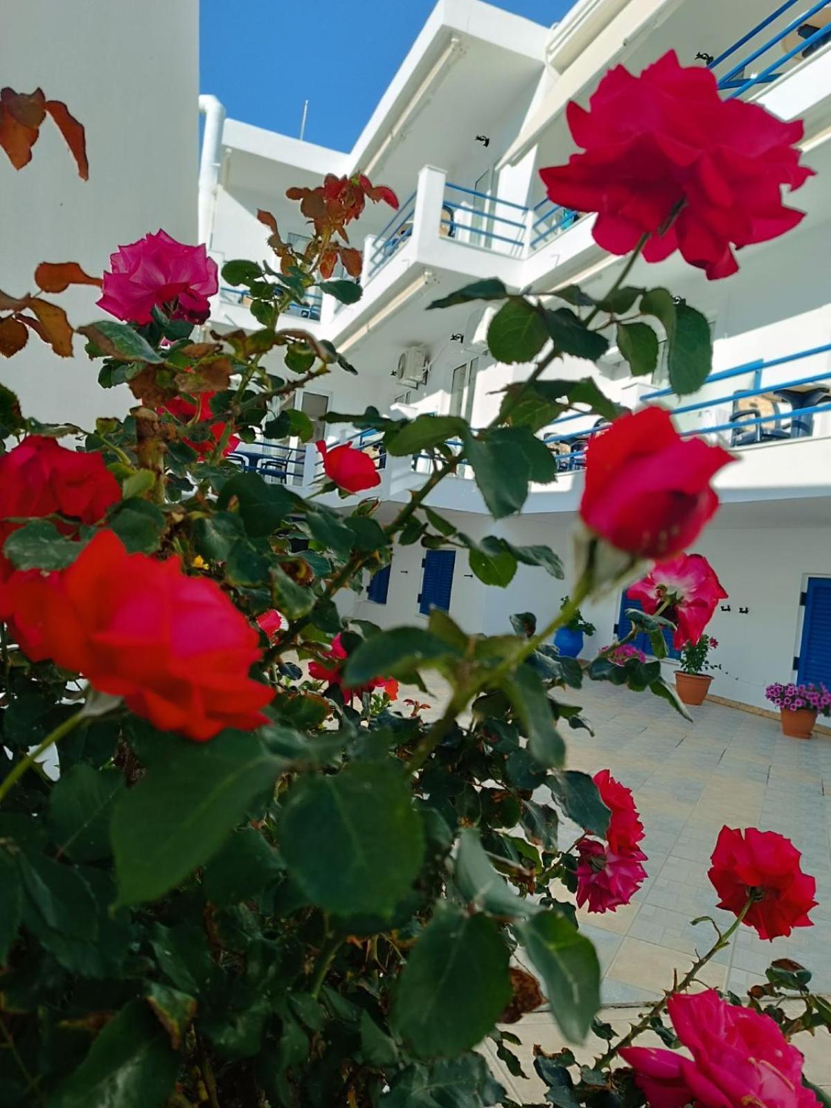 Akrogiali Skála المظهر الخارجي الصورة